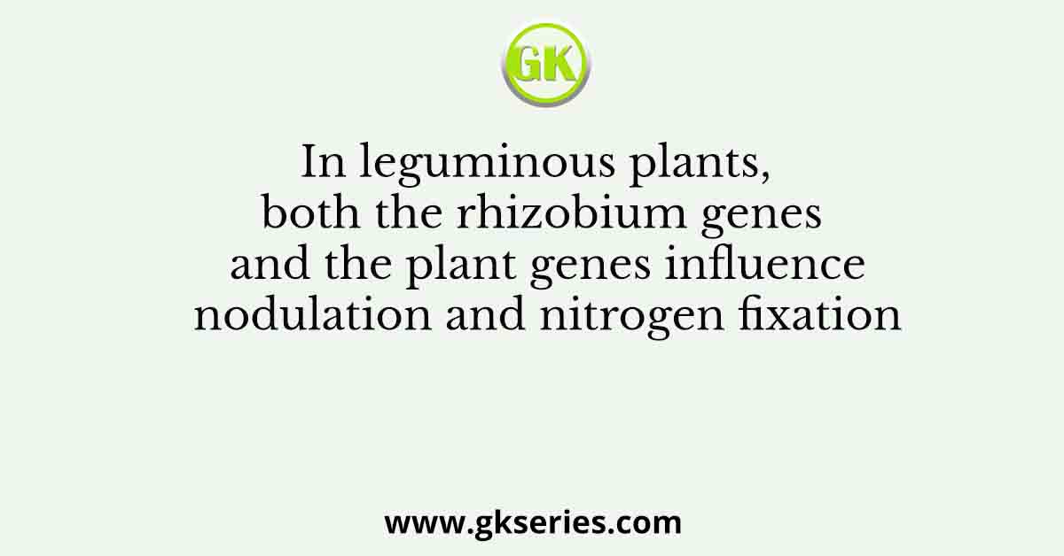 In leguminous plants, both the rhizobium genes and the plant genes influence nodulation and nitrogen fixation