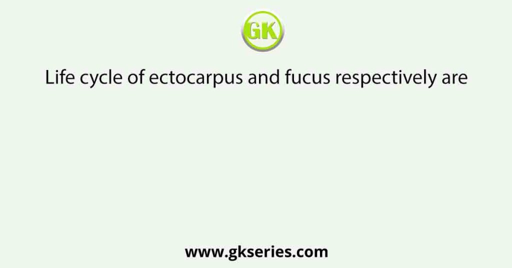 Life cycle of ectocarpus and fucus respectively are