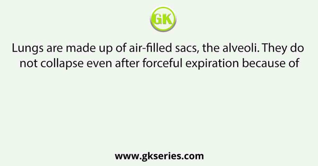 Lungs are made up of air-filled sacs, the alveoli. They do not collapse even after forceful expiration because of