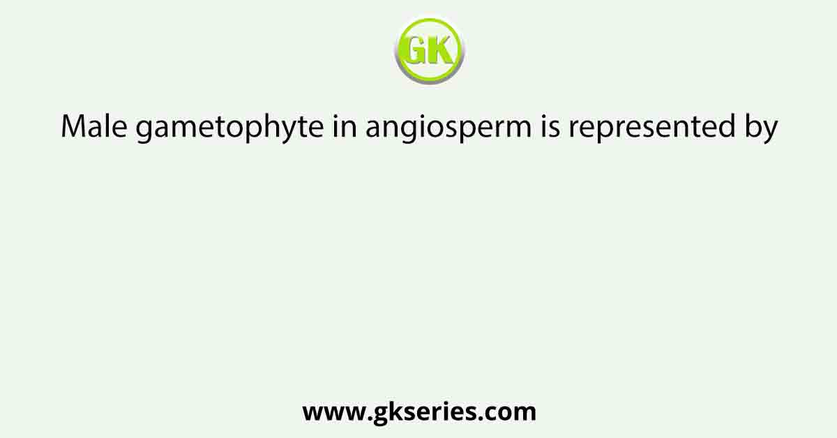 Male gametophyte in angiosperm is represented by