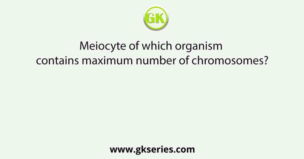 Meiocyte of which organism contains maximum number of chromosomes?