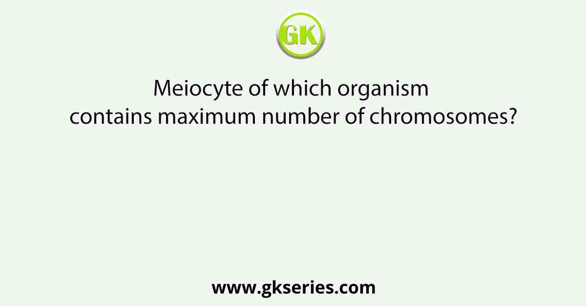 Meiocyte of which organism contains maximum number of chromosomes?
