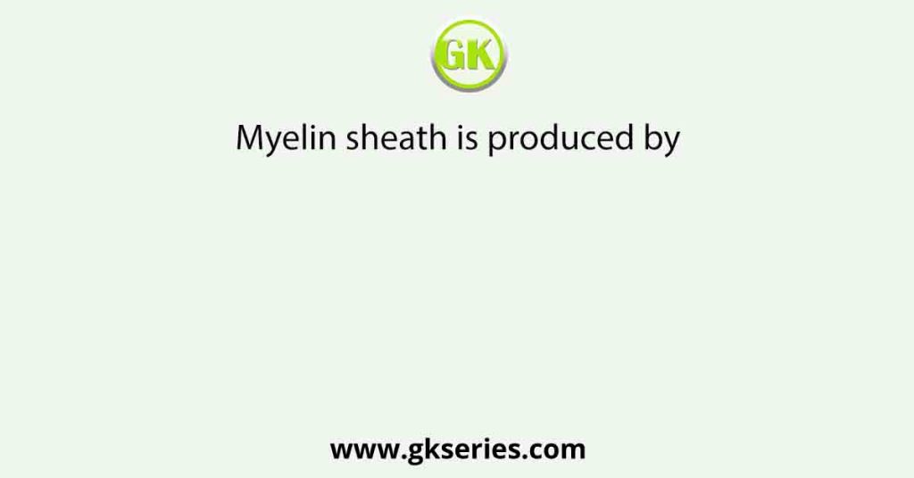 Myelin sheath is produced by