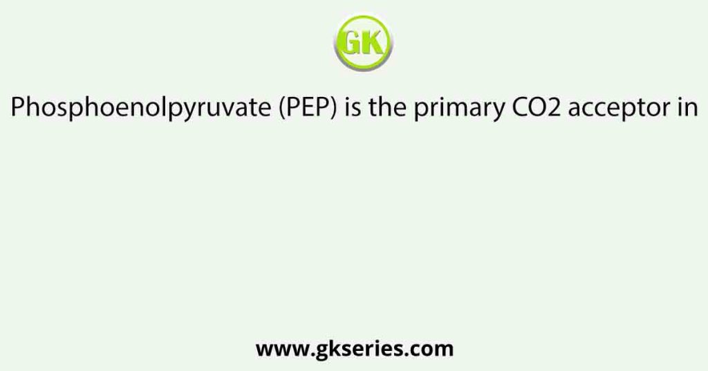 Phosphoenolpyruvate (PEP) is the primary CO2 acceptor in