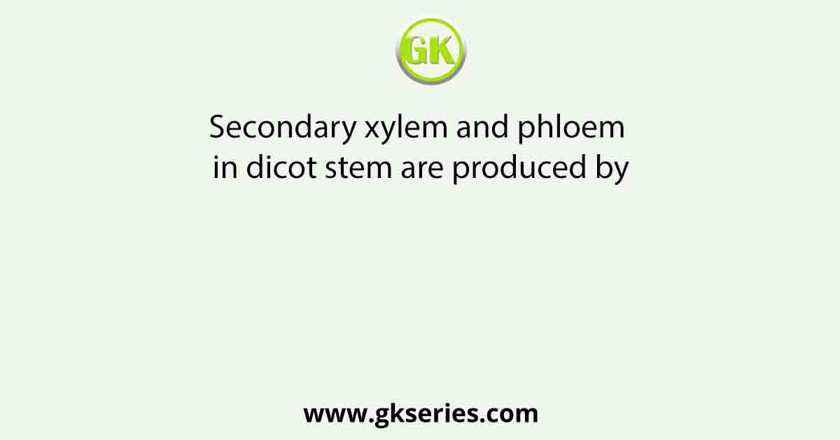 Secondary xylem and phloem in dicot stem are produced by