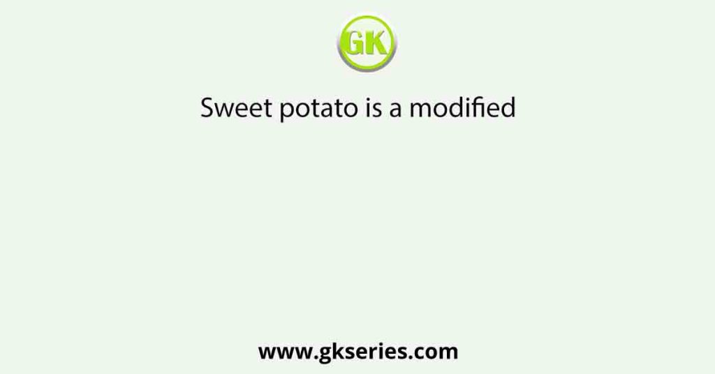 Sweet potato is a modified