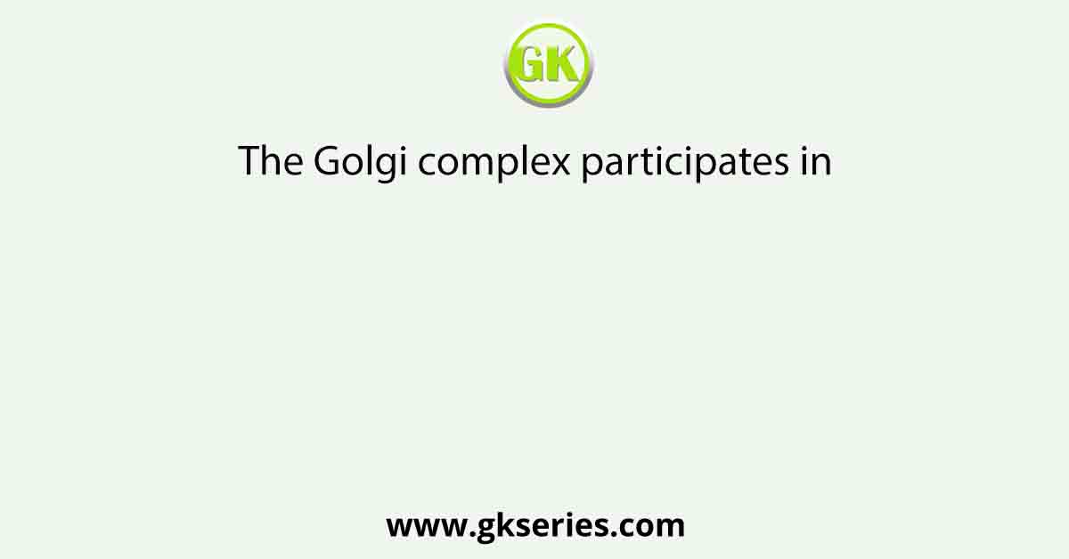 The Golgi complex participates in