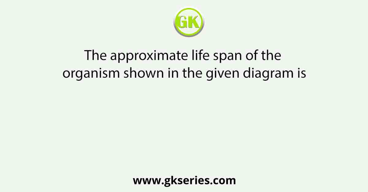 The approximate life span of the organism shown in the given diagram is