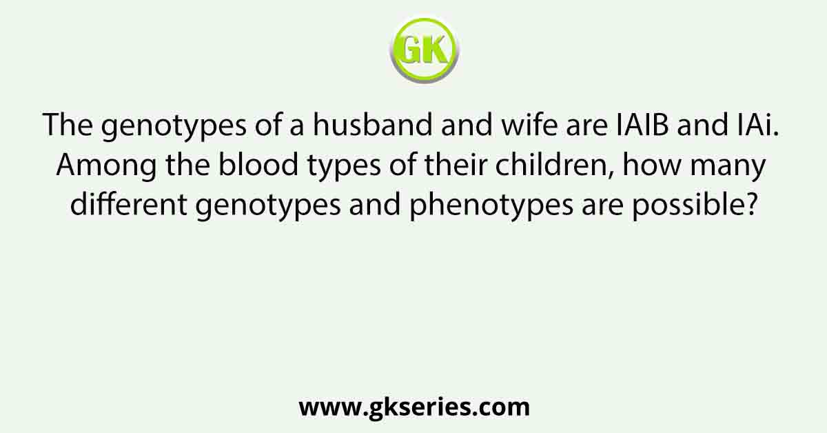 The genotypes of a husband and wife are IAIB and IAi. Among the blood types of their children, how many different genotypes and phenotypes are possible?