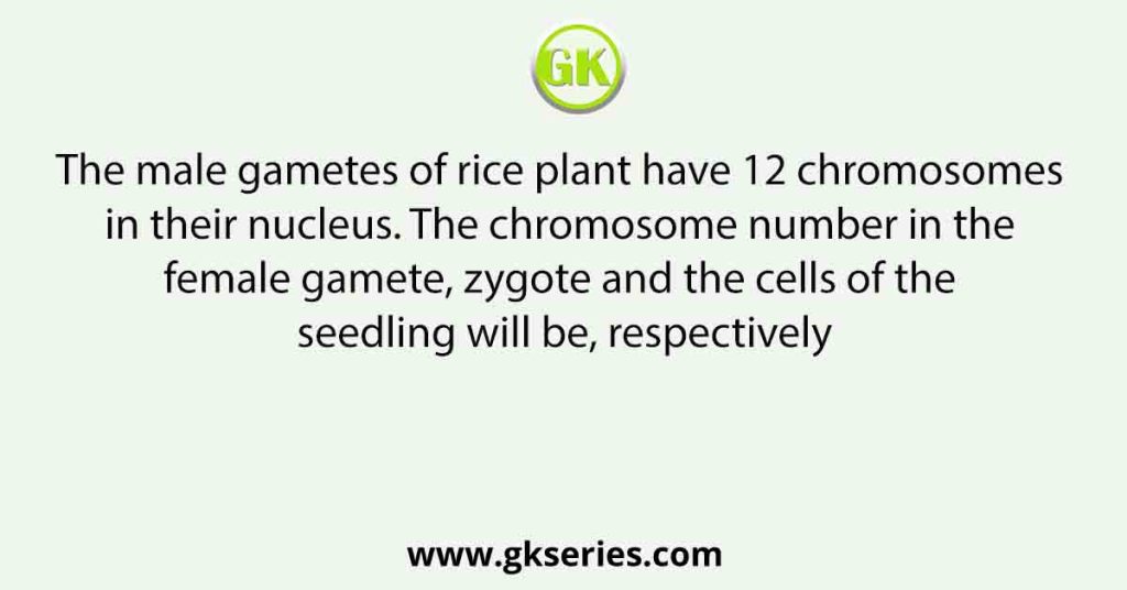 The male gametes of rice plant have 12 chromosomes in their nucleus. The chromosome number in the female gamete, zygote and the cells of the seedling will be, respectively