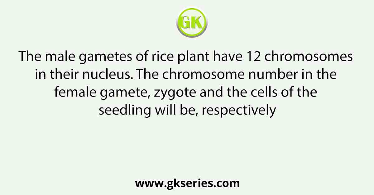 The male gametes of rice plant have 12 chromosomes in their nucleus. The chromosome number in the female gamete, zygote and the cells of the seedling will be, respectively