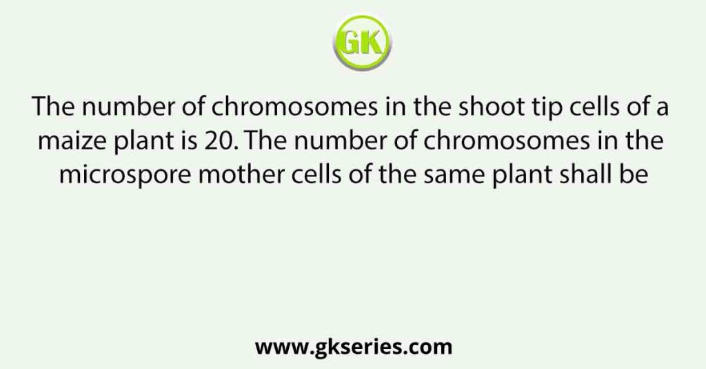 The number of chromosomes in the shoot tip cells of a maize plant is 20. The number of chromosomes in the microspore mother cells of the same plant shall be