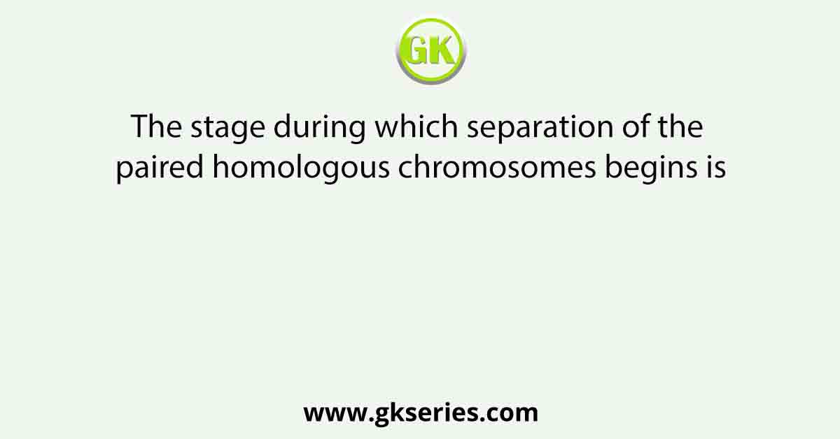 The stage during which separation of the paired homologous chromosomes begins is