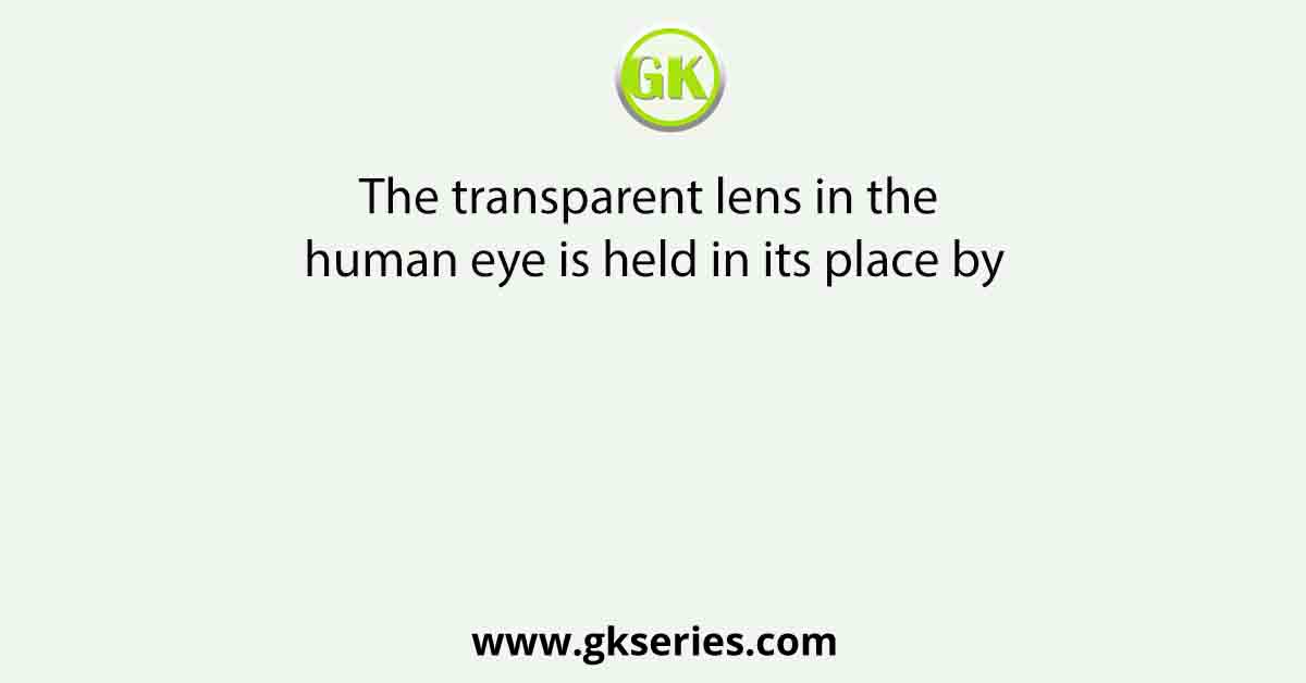 The transparent lens in the human eye is held in its place by