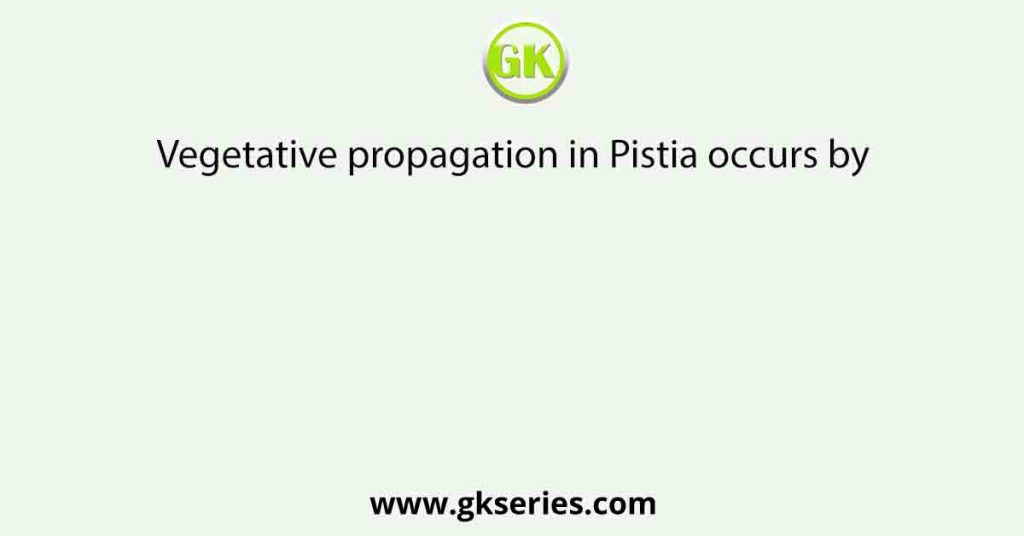 Vegetative propagation in Pistia occurs by