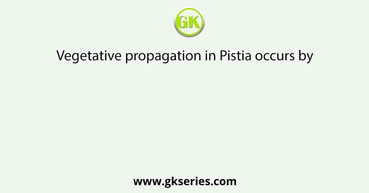 Vegetative propagation in Pistia occurs by
