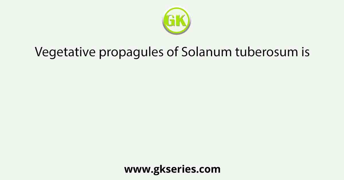 Vegetative propagules of Solanum tuberosum is