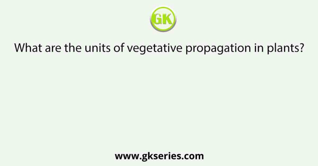 What are the units of vegetative propagation in plants?