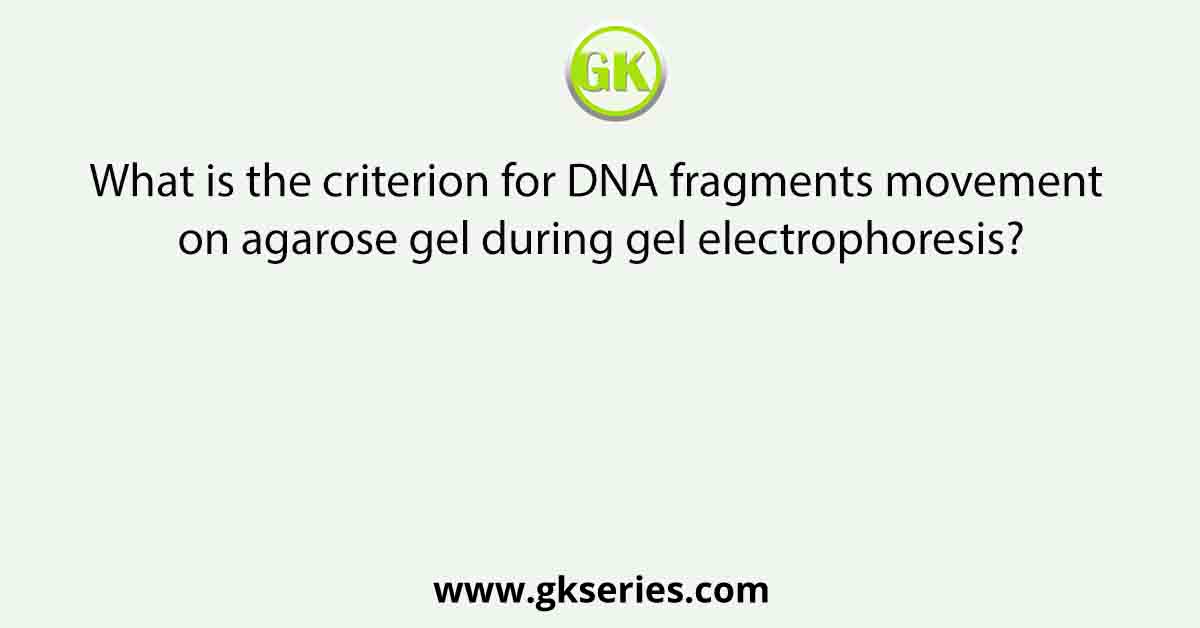 What is the criterion for DNA fragments movement on agarose gel during gel electrophoresis?