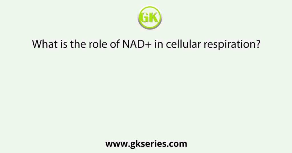 what-is-the-role-of-nad-in-cellular-respiration-gkseries