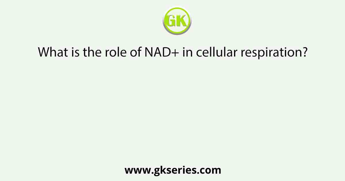 What is the role of NAD+ in cellular respiration?
