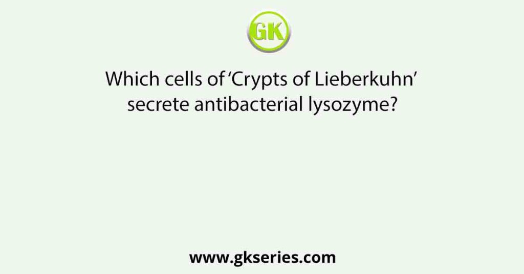 Which cells of ‘Crypts of Lieberkuhn’ secrete antibacterial lysozyme?