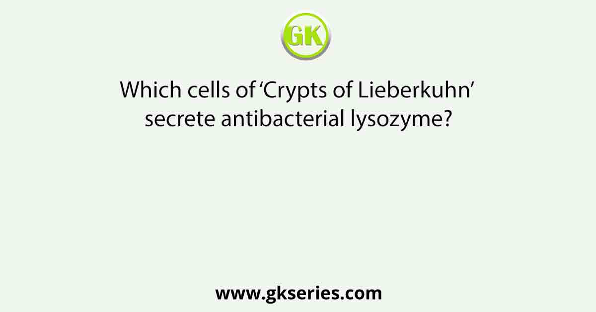 Which cells of ‘Crypts of Lieberkuhn’ secrete antibacterial lysozyme?
