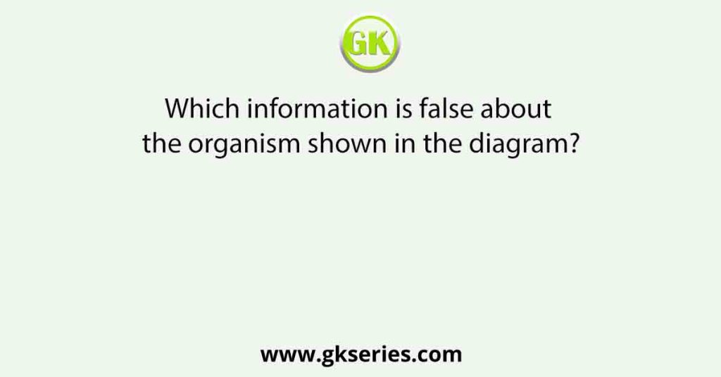 Which information is false about the organism shown in the diagram?