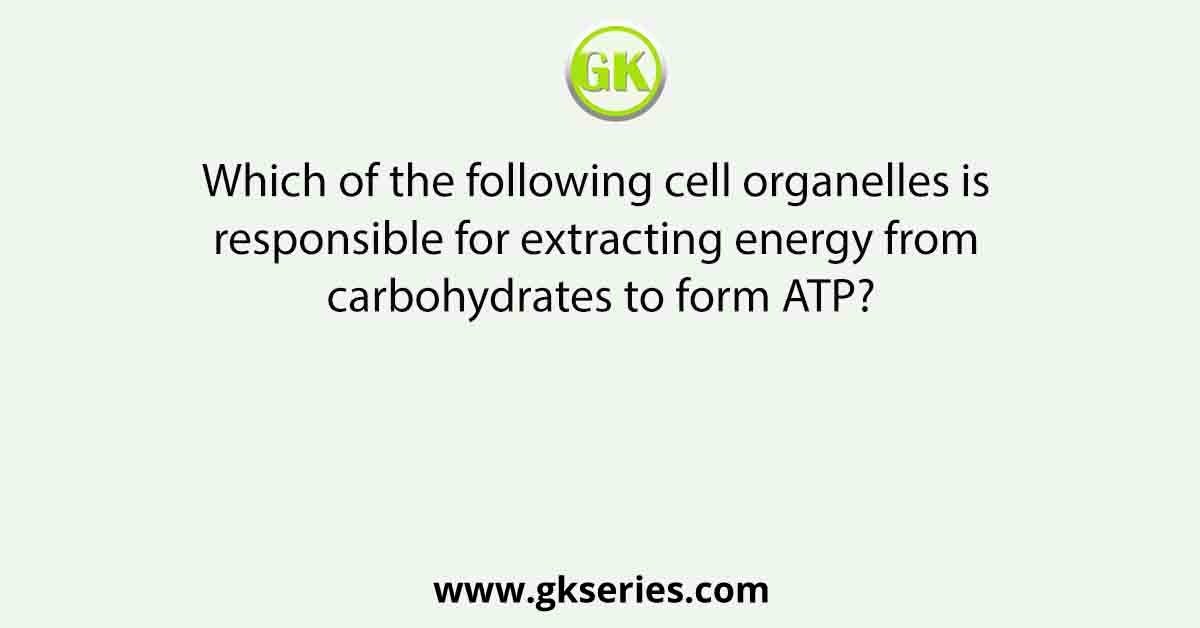 Which of the following cell organelles is responsible for extracting energy from carbohydrates to form ATP?