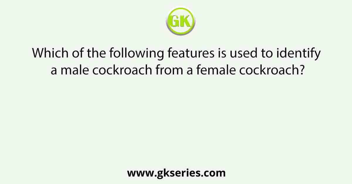 Which of the following features is used to identify a male cockroach from a female cockroach?