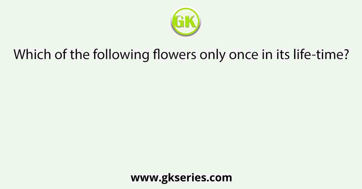 Which of the following flowers only once in its life-time?