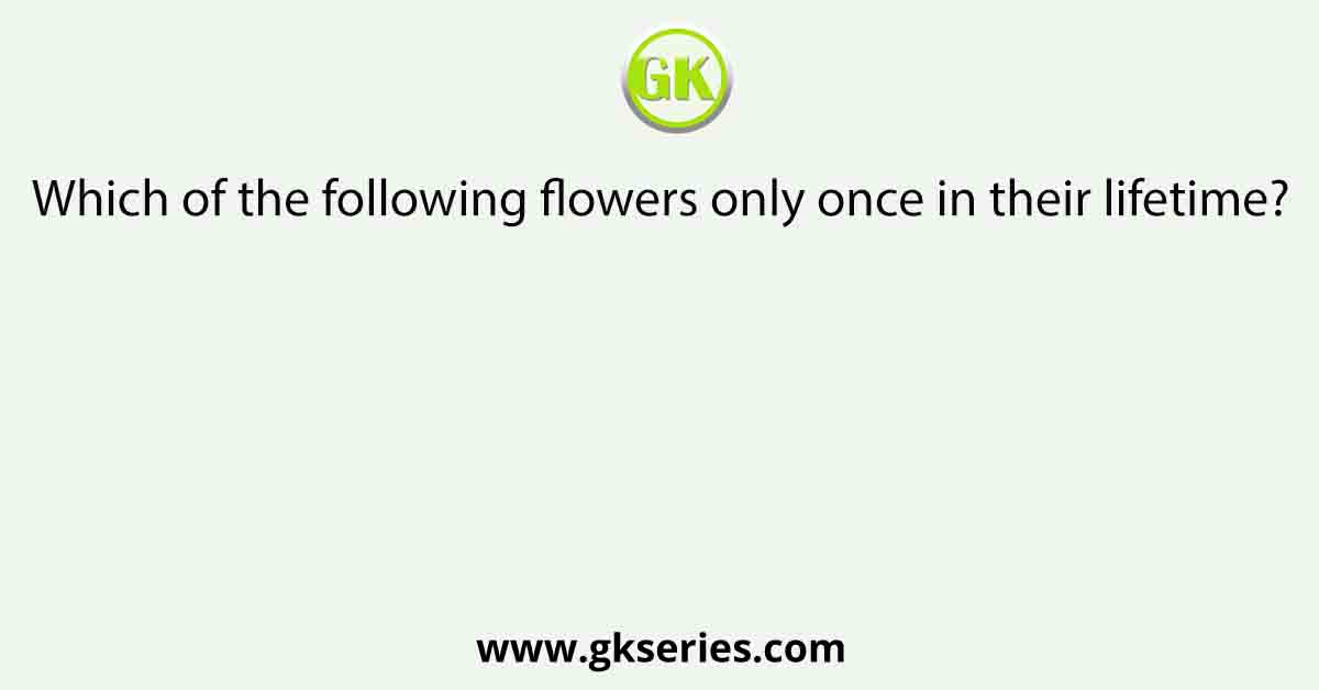 Which of the following flowers only once in their lifetime?