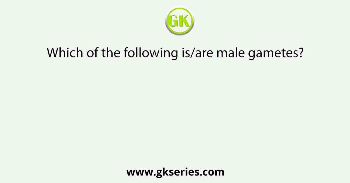 Which of the following is/are male gametes?