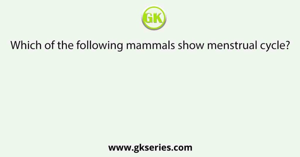 Which of the following mammals show menstrual cycle?