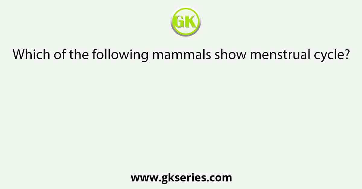 Which of the following mammals show menstrual cycle?