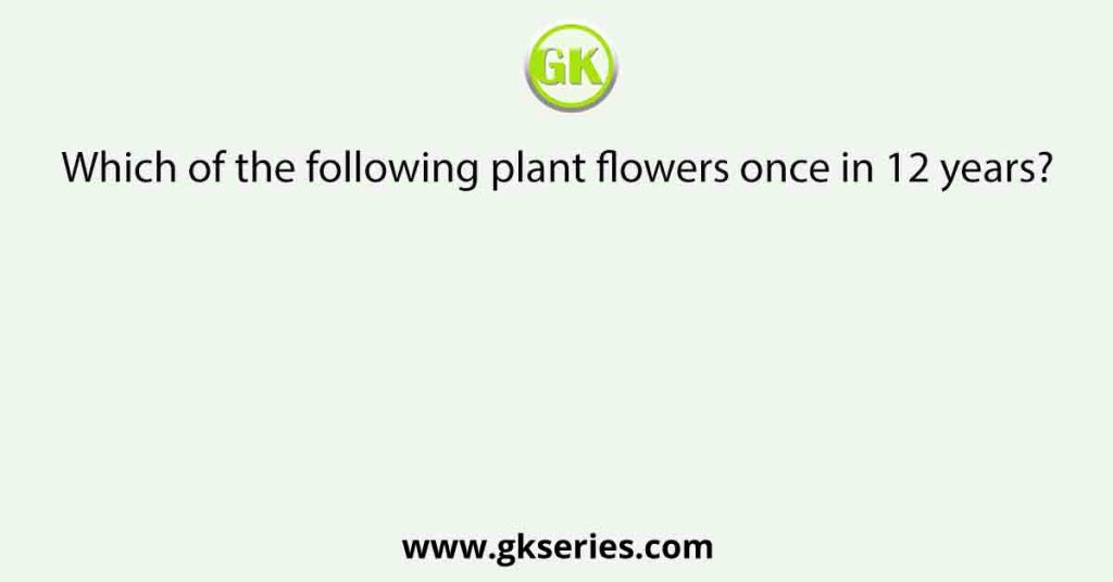 Which of the following plant flowers once in 12 years?