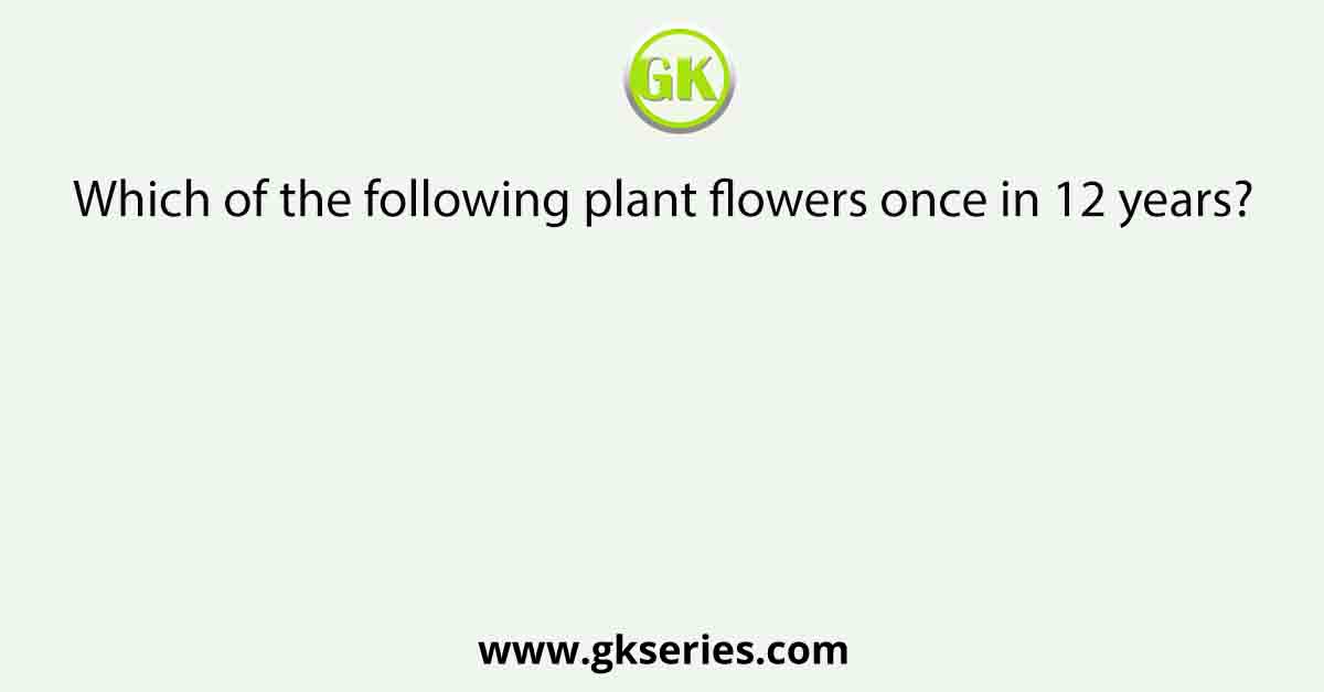 Which of the following plant flowers once in 12 years?