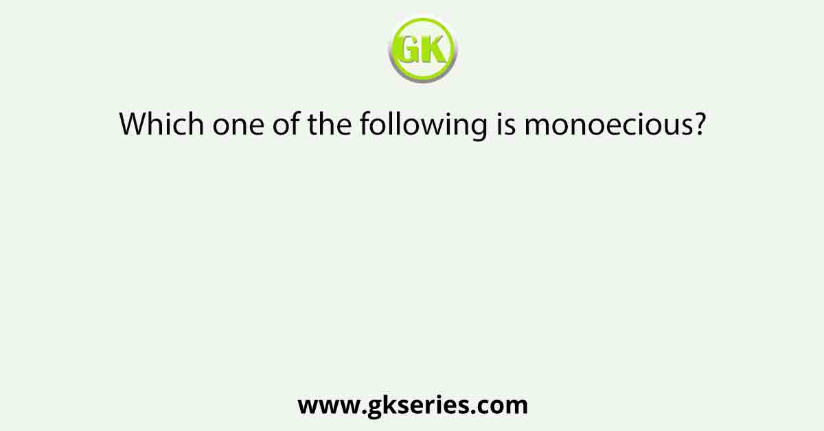 Which one of the following is monoecious?