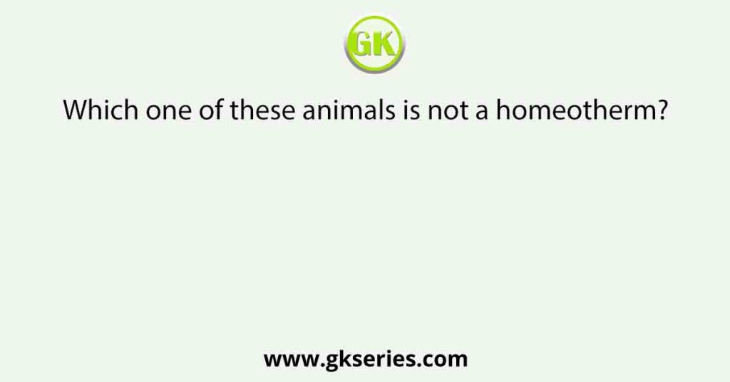 Which one of these animals is not a homeotherm?