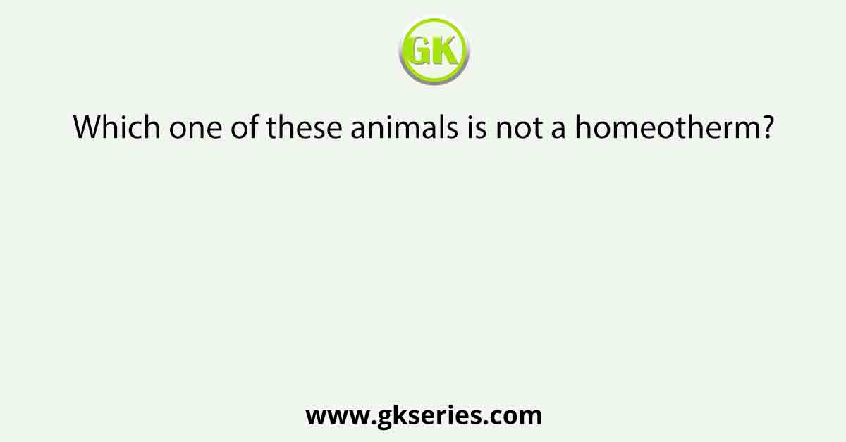 Which one of these animals is not a homeotherm?