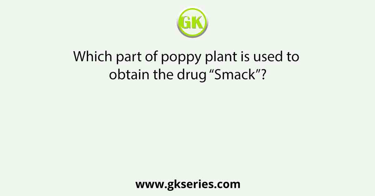 Which part of poppy plant is used to obtain the drug “Smack”?