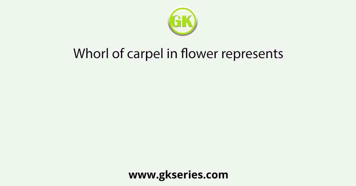 Whorl of carpel in flower represents