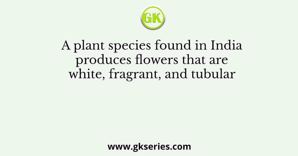 A plant species found in India produces flowers that are white, fragrant, and tubular
