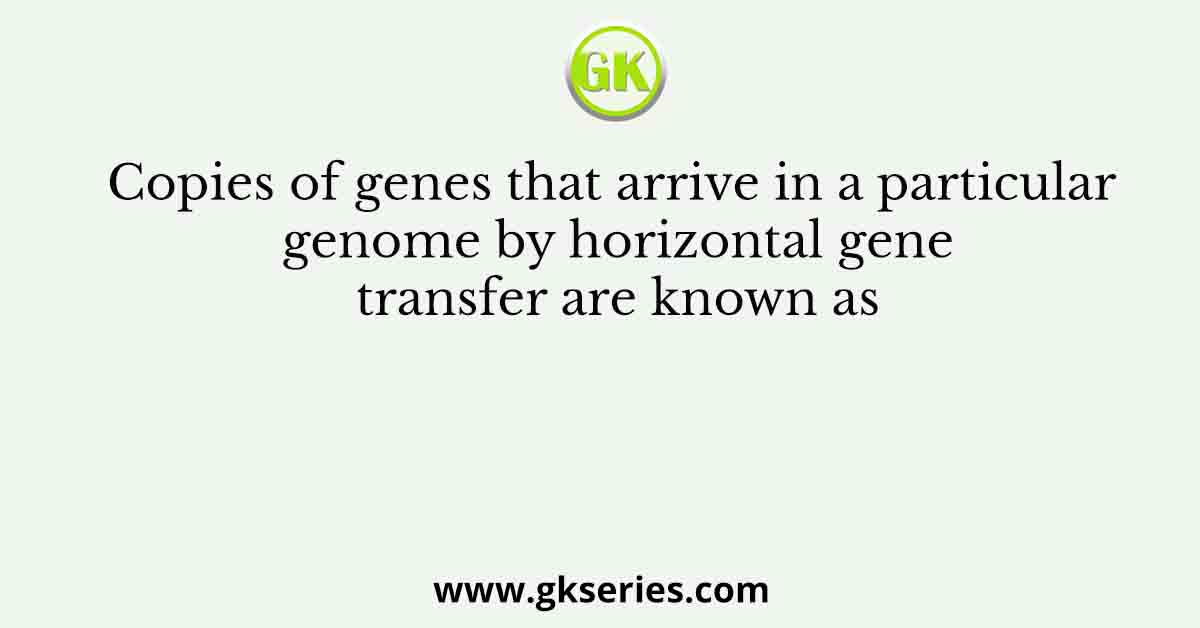 Copies of genes that arrive in a particular genome by horizontal gene transfer are known as