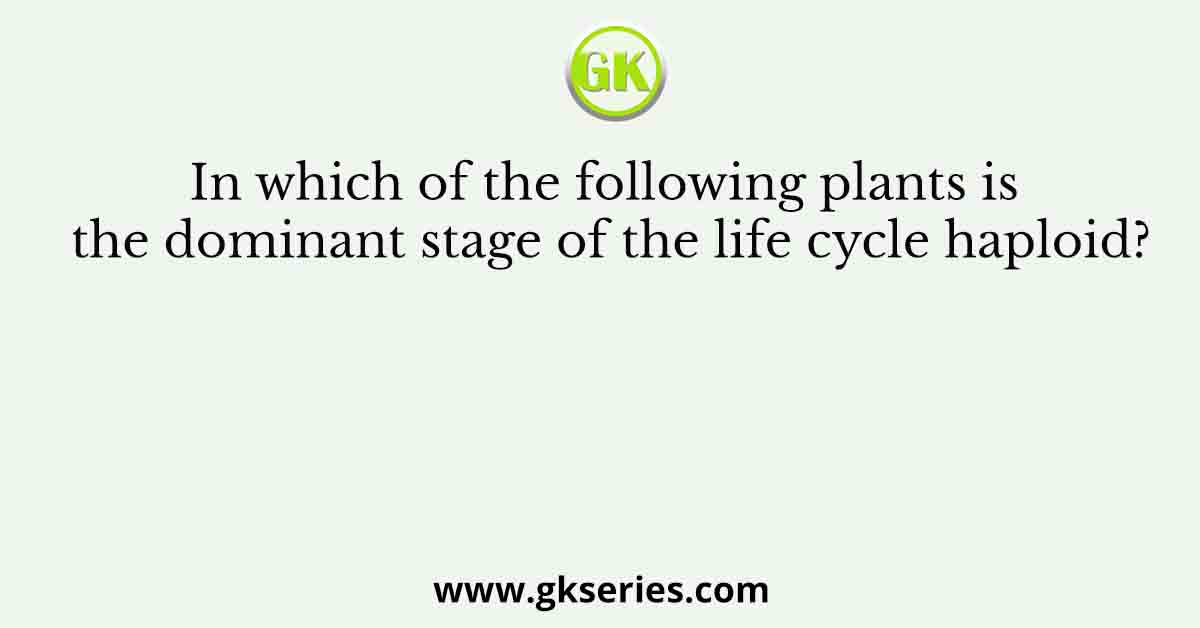 In which of the following plants is the dominant stage of the life cycle haploid?