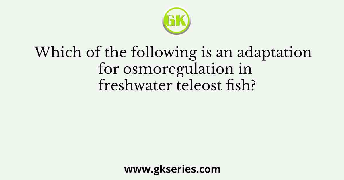 Which of the following is an adaptation for osmoregulation in freshwater teleost fish?