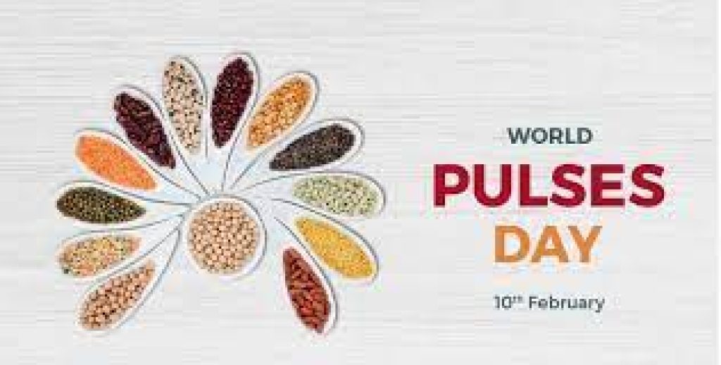 World Pulses Day 2024