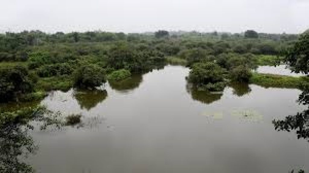 Tamil Nadu has set a new benchmark in environmental conservation and biodiversity protection by securing two more Ramsar sites