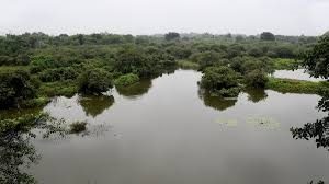 Tamil Nadu has set a new benchmark in environmental conservation and biodiversity protection by securing two more Ramsar sites