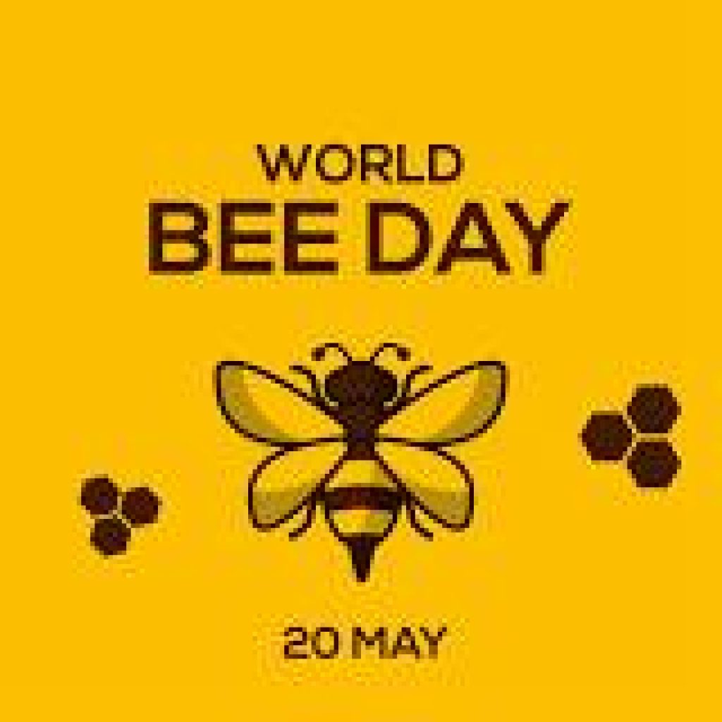 World Bee Day 2024: Date, Theme, History, Significance and Celebrations